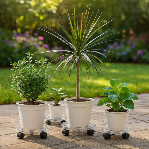 4 Packs 10.2 inches Small Clear Plant Caddy Plant Saucers on Wheels Rolling Plant Stands Heavy-duty Plant Dolly Plastic