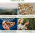 1 Pc Mesh Foraging Bag with Drawstrings & Bottom Support for Mushrooms,Herbs, Wild Plants, Durable Harvesting Morel