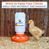 1L 1.5L Set, Lil'Clucker Chick Feeder, Chicken Waterer - No Leakage Chick Feeder and Waterer Kit, Hanging Baby Chick