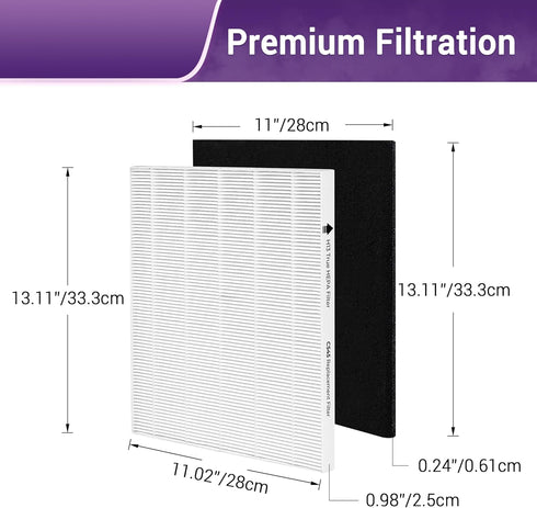 C545 Replacement Filter for Winix S Air Purifier, 2 True HEPA (H13) + 8 Activated Carbon Filters