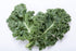 500 Kale Blue Scotch Curled Seeds - Non GMO - Heirloom - Open Pollinated