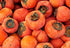 Persimmon 10+ Count 2026 TomorrowSeeds - Japanese Tree Seeds - - for Planting Diospyros Kaki Fuyu Hachiya Asian Chinese