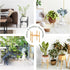 Wood Plant Stand, 12.2" x 13.8" Indoor Outdoor, Wooden Single Floor Pot Holder, Natural Plant Stand, Assembly Required