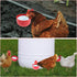 20 Pack Chicken Water Cups, Automatic Chicken Waterer for Poultry Automatic Chicken Watering System, Long-Lasting Use