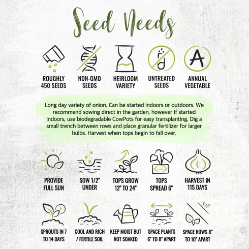 (5 Packs) Seed Needs Onion Seeds for Planting Walla Walla Long Day Onions - Non-GMO Heirloom & Untreated Vegetable