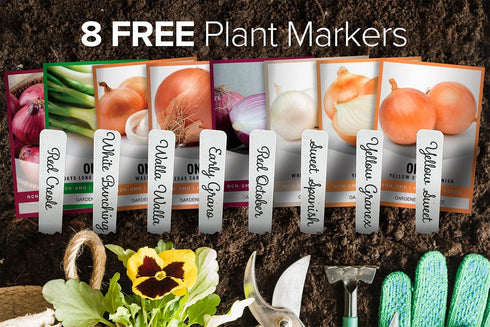 8 Summer, Gardeners Basics, Onion Seeds for Planting - Long and Short Day Varieties Yellow, Red, White, Sweet and Green