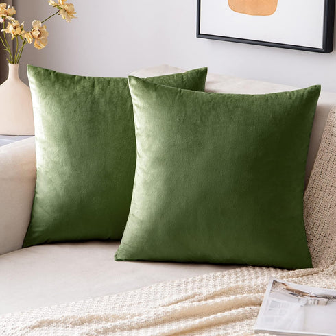 EMEMA Pack of 2 Velvet Throw Pillow Covers Decorative Square Pillowcase Soft