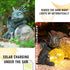 WONDER GARDEN Dragon Statue, Sleeping Dragon Figurines with Solar Light, Outdoor Waterproof Lawn Ornament Decor