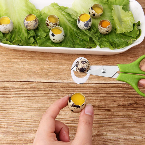 6Pcs Quail Egg Cutter Scissors, Kitchen Egg Shears Tool (Green)