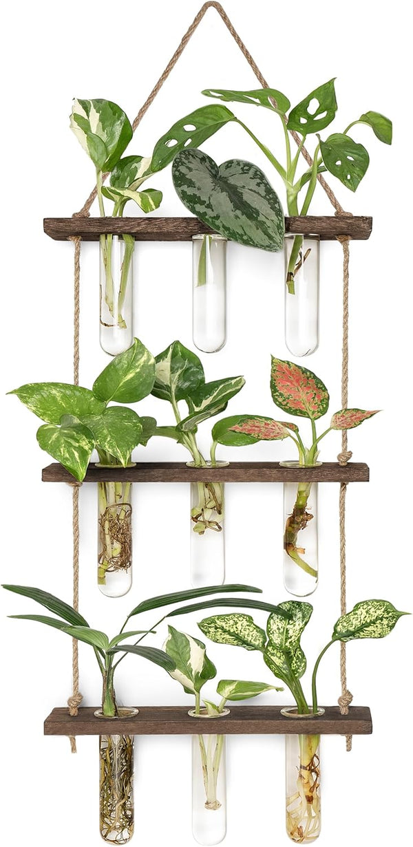 Mkono Plant Propagation Tubes, 3 Tiered Wall Hanging Terrarium with Wooden Stand