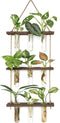 Mkono Plant Propagation Tubes, 3 Tiered Wall Hanging Terrarium with Wooden Stand
