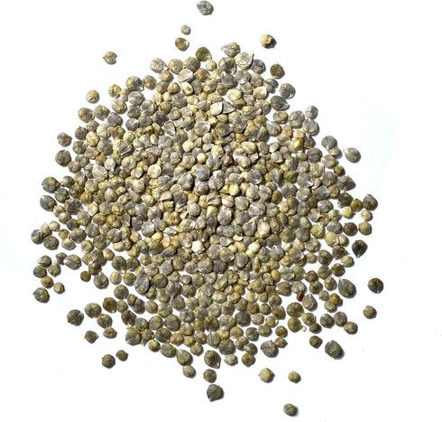 250 (1 Pack) Seed Needs, Giant Noble Spinach Seeds - Heirloom Seeds for Planting Spinacia oleracea - Make Your Own