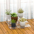 3pcs, 12-1'', 2'', 3'' Sezanrpt Rectangular Acrylic Display Risers Stands Dessert Table Display Rack, Clear Display