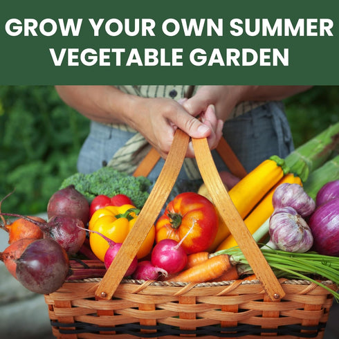 Summer 20 Packs 2026 Garden Seeds | Individual | Season | Non-GMO | Tomatoes, Squash, Melon, Herbs & More! |