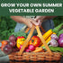 Summer 20 Packs 2026 Garden Seeds | Individual | Season | Non-GMO | Tomatoes, Squash, Melon, Herbs & More! |
