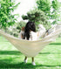 White Hammock Swing Bed, Single Person Cotton Fabric Canvas Travel Hammocks, 500lbs Ultralight Camping Hammock,