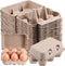 LayHyand Half Dozen Vintage Egg Cartons 50 Pack, Blank Natural Pulp Egg Cartons