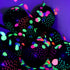 10000 pieces UV Neon Round Confetti - 5 Colors Neon Fluorescent Tissue Dot for Blacklight Party Supplies