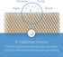 Honeywell Home HC12A1015 Whole House Humidifier Pad, Foam