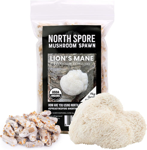North Spore Organic Lion's Mane (100 ct) Mushroom Plugs for Logs |