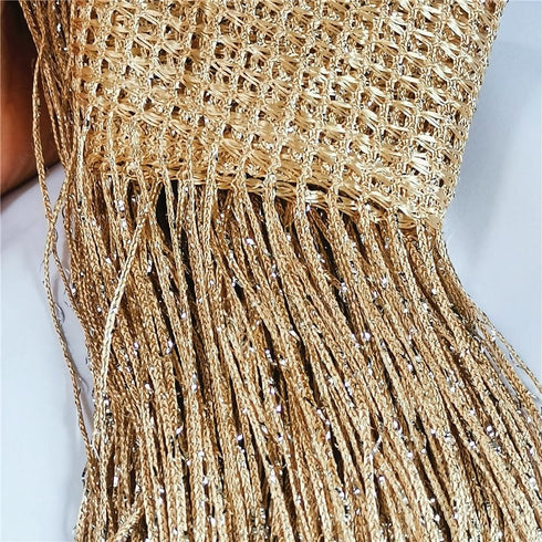 ave split Decorative Door String Curtain, Wall Panel Fringe, Window Room Divider, 100x200cm, Champagne