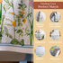 Maison d' Hermine 100% Cotton Kitchen Apron for Women with Pocket, Chef Apron for Men Cooking, Gardening, Server,