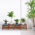 (45.5Long,Multiple Way,4 Wood Flower Stand Small Plant Stand Indoor Outdoor Plant Shelf Low Window Shelf for Plants