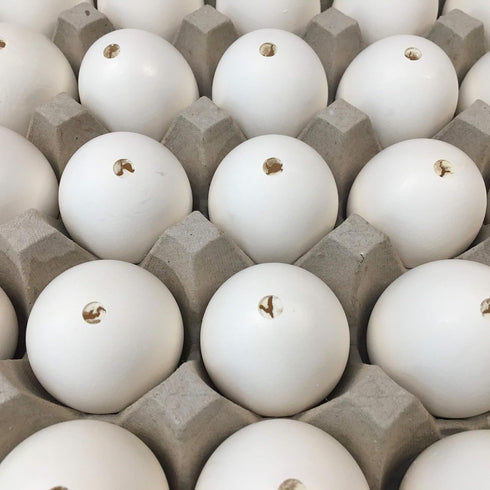 My Egg Shells 30 2-3 DAONEG - Large Blown Chicken Egg Shells - Save Hours of Work And a Huge Mess