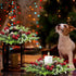6 Lyrow Pcs Christmas Candle Rings Wreath Xmas Kitchen Cabinet Mini Wreath Artificial Berries Snowy Pine Candle Ring