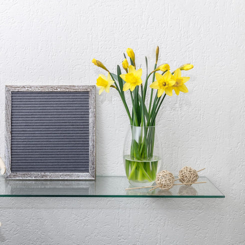 8" 18" 3/8" Dulles Glass x Rectangle Floating Glass Shelf - Shelf Only - Tempered - Thick - Flat Polished Glass