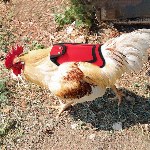 3 Pack Sides(3 Noamus Chicken Saddle for Hens, Premium Outdoor Saddle with Adjustable Strap, Sweater Clothes Poultry