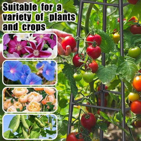 6FT 16mm Obelisk Trellis for Climbing Plants Outdoor, Rust-Proof Extra Thickened Plastic-Coated Metal Pipes, Indoor