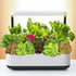 20,000+ 10 Lettuce Seeds, Heirloom Vegetable Seed for Planting Indoor Outdoor, Varieties of Fresh Salad Greens