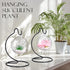 30 Tatuo Pcs Ornament Display Stand Christmas Holder Hanger Stands Glass Ball Ornament Holder Metal Iron Hanging Hanger