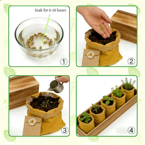 5 Herb Garden Kit with Wooden Box - Including Basil, Thyme, Parsley, Rosemary, Mint - Windowsill Herb Garden