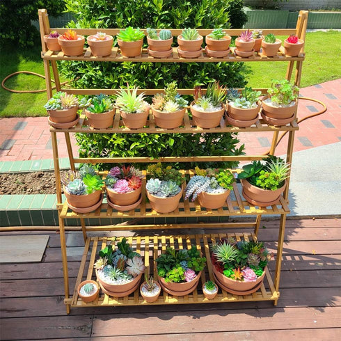 Yishang 3.5 Inch Shallow Terra Cotta Pots with Saucer/Tray - Ceramic Clay Planter for Succulent & Cactus Nursery