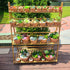 Yishang 3.5 Inch Shallow Terra Cotta Pots with Saucer/Tray - Ceramic Clay Planter for Succulent & Cactus Nursery