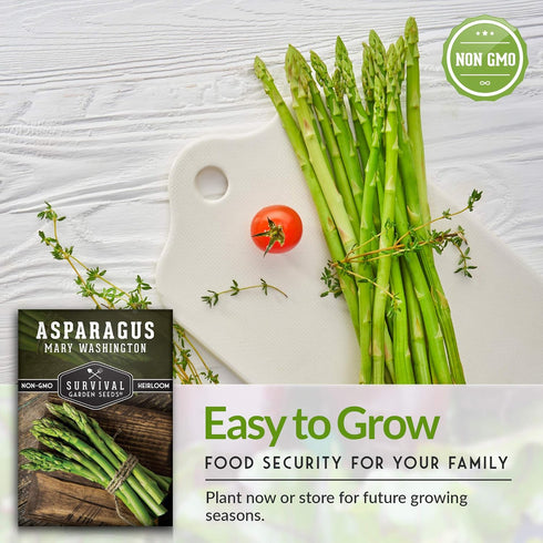 (3 Packs) Mary Washington Asparagus Seeds for Planting - Non-GMO Heirloom with Instructions to Grow Long Lasting