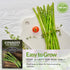 (3 Packs) Mary Washington Asparagus Seeds for Planting - Non-GMO Heirloom with Instructions to Grow Long Lasting