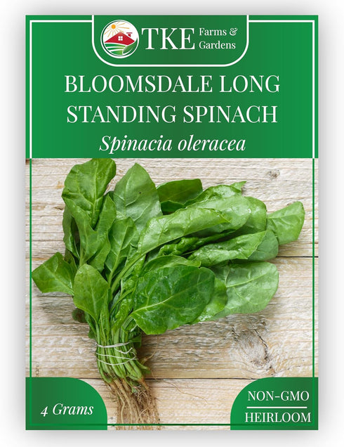 TKE Farms & Gardens - Bloomsdale Spinach Seeds for Planting, 320+ Heirloom
