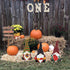 YEAHOME Fall Decorations for Home Outdoor, 3 Pack Gnomes Decorative Garden Stakes for Autumn Lawn Decor