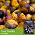 (3 Packs) Purple Tomatillo Seeds for Planting - Heirloom Mexican Husk Tomato, High Yield Non-GMO Open Pollinated