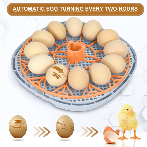 WYD2ANG 12 Smart Chicken Incubators for Hatching Eggs with Automatic Turner Small Poultry Duck Quail Egg Incubator