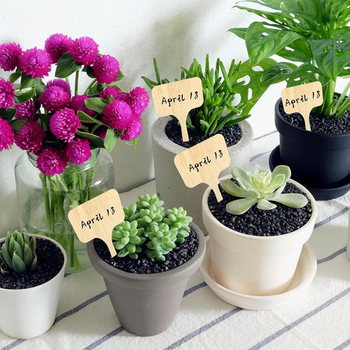 Whaline 60Pcs Wooden Plant Labels with Marker Pen, Decorative Garden Markers for Herbs