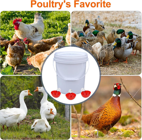WIXUXSI 6 Packs Automatic Chicken Waterer Cups, Large Chicken Water Feeder, Chicken Water Cups, Poultry Waterer Great