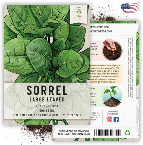 (2 Packs) Seed Needs Large Leaf Sorrel Seeds for Planting - Heirloom Non-GMO & Untreated Medicinal or Culinary Herb