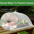 Mesh Food Covers for Outdoors: 10 Pack with 2 Extra Large 40x24 in & 8 Large 17x17 in Collapsible Picnic Nets for