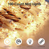 2Pack 100 Count LEH-100L/2F(0.34A) Meteds Christmas Lights Clear Mini Lights White Wire ULCertified Connectable