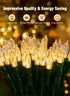 8ft 20 White2 Pack Brightown Battery Operated Christmas String Lights, LED Mini Lights with Timer, Christmas Tree
