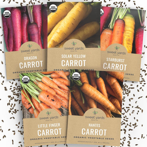 Organic Carrot Seeds Variety Pack - 5 Individual Packs - 2026 Season